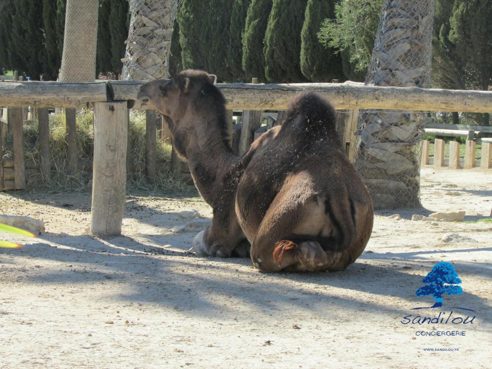 Sandilou Lespetitsbonheurs 2 Chambres Climatise Tv Сижан Экстерьер фото